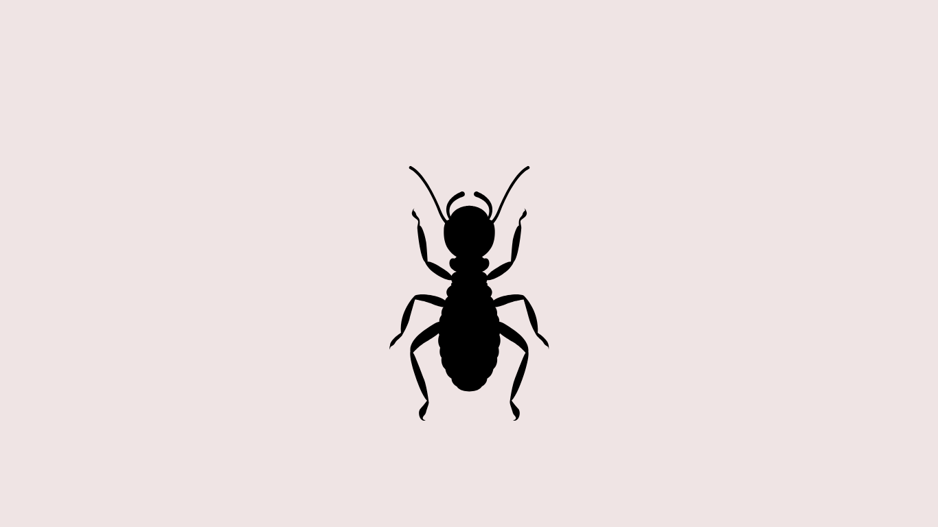 Termite & Borer Resistant
